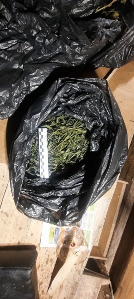В Мордовском районе полицейские изъяли у мужчины около 1 кг марихуаны