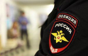 Дознаватели мордовской полиции возбудили уголовное дело по незаконной рубке деревьев